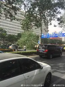 实拍北京今天风多大你们感受下
