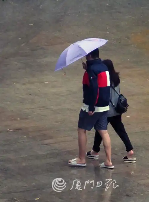 大风降雨说来就来冷得措手不及,明天还要继续降多添衣
