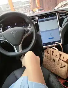美女靠约车主蹭拍晒豪车照网友笑称其为傍车女组图
