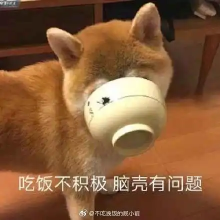 fun来了男子机动车道逆行玩手机被撞飞4圈半后躺地上还在玩
