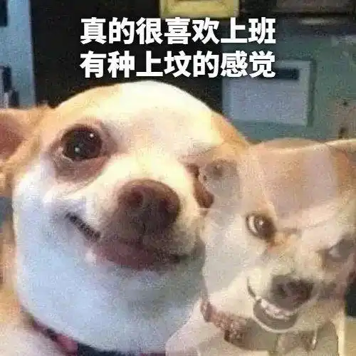 真的很喜欢看这种搞笑图,有一种在身上安装摄像头的感觉
