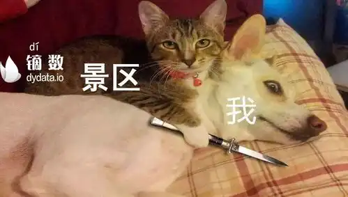 2019年研究生考试开始报名,什么专业最好考hey,data
