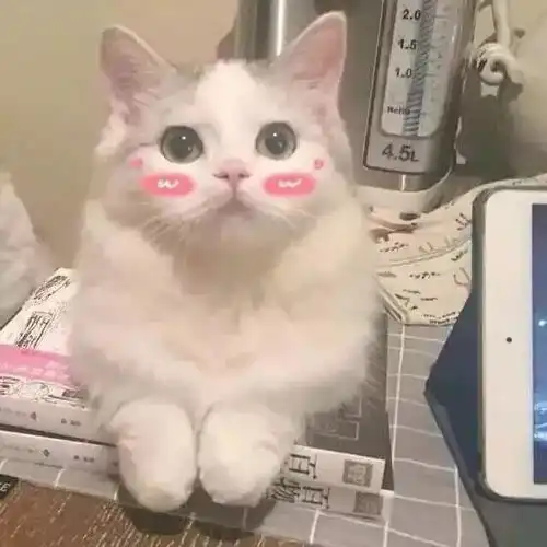宝贝儿吴青峰
