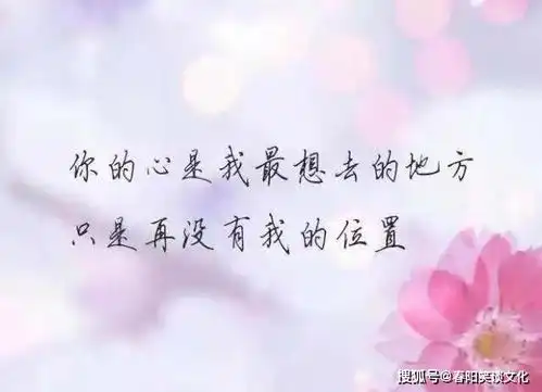 深夜睡不着感觉到孤独的心酸句子,疼到骨子里,诉说了多少无奈
