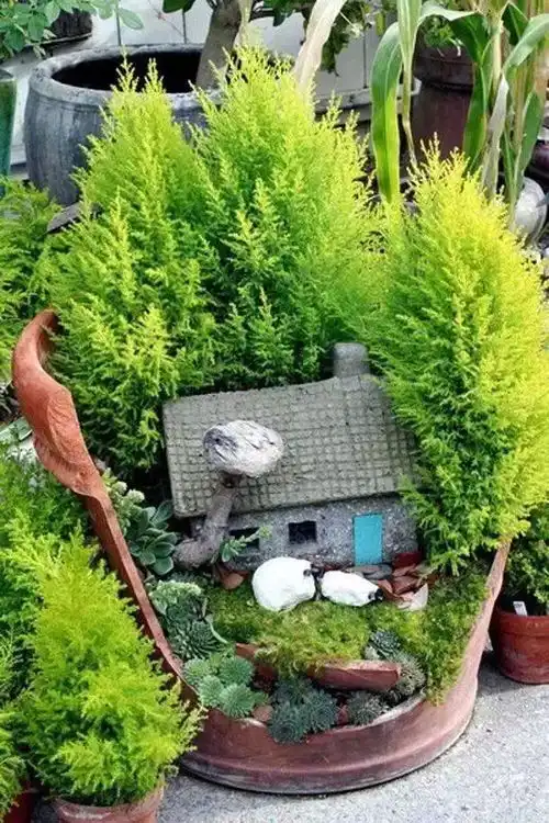 有趣有趣,花还可以这么种
