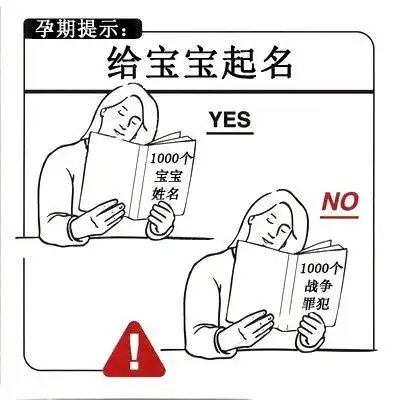 让你爆笑的安全怀孕手册
