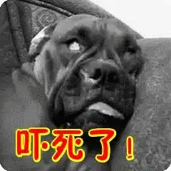 爹妈报仇,二十年不晚
