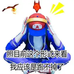 一组热门游戏王者荣耀表情包被针对的鲁班,太惨了
