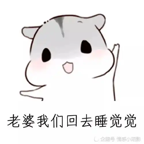 仓鼠表情包老婆,我们回去睡觉觉
