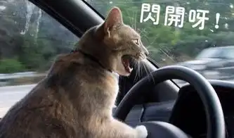 搞笑段子要不我直接给你放头猪吧,兄弟

