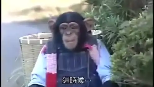 搞笑囧图网的个人频道
