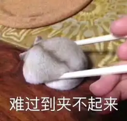 爆笑七则,第五期
