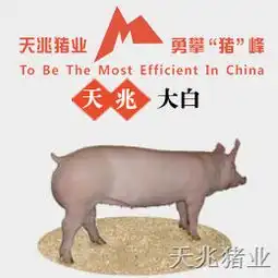 巫山大白种猪
