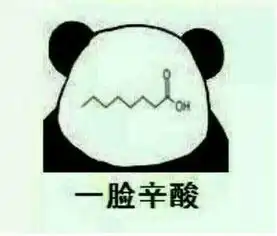 易车网轩宇广汽传祺
