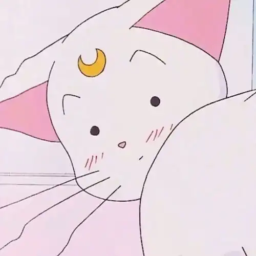 今日头像正在派送中
