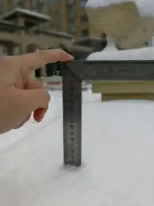 威海下雪啦气象台发布暴雪蓝色预警
