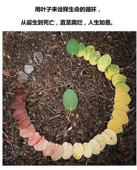 你讨厌我管我屁事啊,别好像能升华我的人生似的

