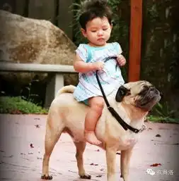在商洛,最赚钱的职业居然是
