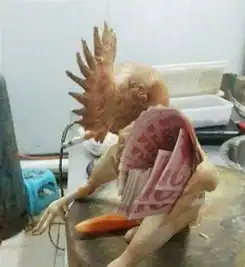 搞笑图片这是一道硬菜,石头伴白菜
