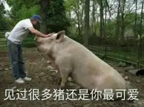 这个征兵广告真的有毒每日轻松一刻4月3日晚间版

