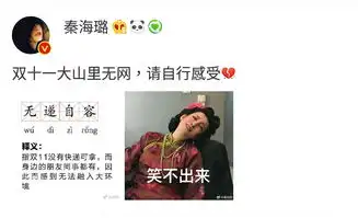 秦海璐幽默调侃双十一网友我帮你我有wifi
