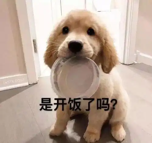 幽默段子跟交往5年的女朋友分手了
