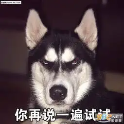 活着不好吗二哈搞笑表情图片那你很棒棒哦哈士奇带字表情包下载乐游网游戏下载
