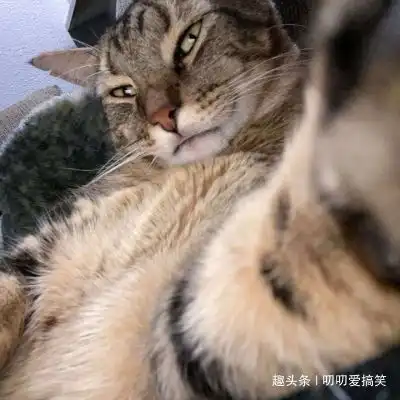 幽默笑话哥,你再不撒手,可要加钱的
