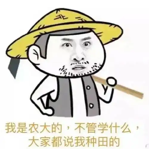 二十不惑职场啊,放马过来叭
