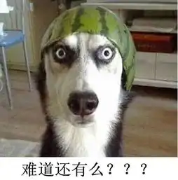 义乌祥马双12双12限量抢车惠开启倒计时