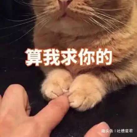 搞笑gif趣图林志玲结婚了,内衣店老板不淡定了
