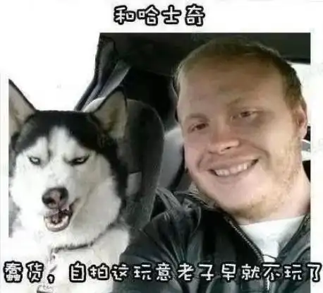 搞笑gif高手在民间,失手也在民间,精彩是要付出代价的
