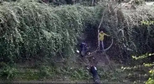 爆笑钓鱼图片,开心一刻

