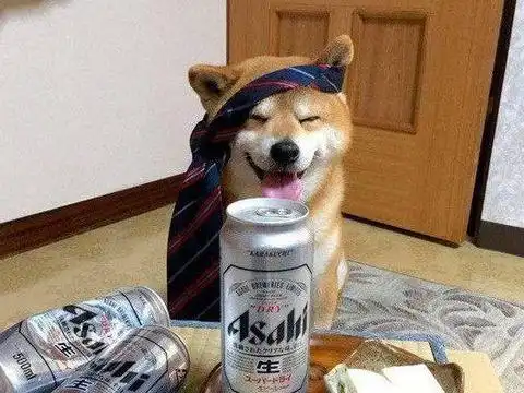狗狗陪着主人庆祝升职,几杯酒下肚就醉倒了,让主人哭笑不得
