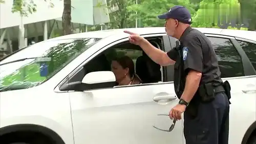 国外爆笑街头恶搞被严重晒黑的警察临检司机哭笑不得
