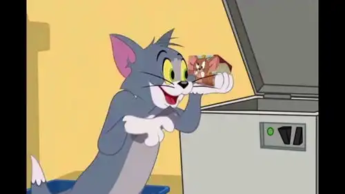 猫和老鼠每天的相爱相杀动画剪辑搞笑猫和老鼠

