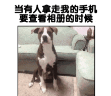 南方人难以理解的东北大冷天,看到这些照片,寒颤打不停了小姑娘
