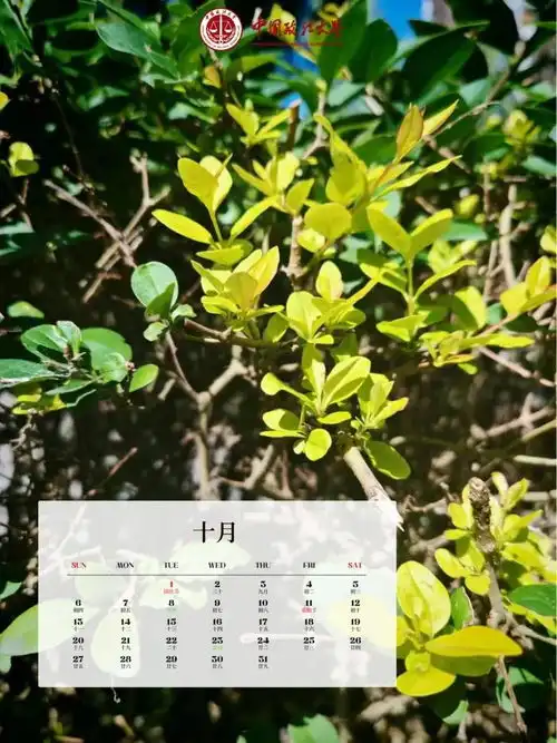 秋日来信,岁月明朗法大十月壁纸来啦
