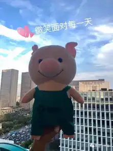 文末有默小猪公仔送出那么多有趣好用的默家公众号,我们打包送给你
