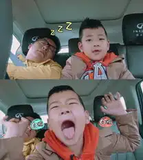 爸爸换子乌龙爆笑王诗龄父女史上最呆萌4
