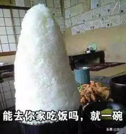 那些沙雕网友的减肥日常,笑死了,哈哈哈
