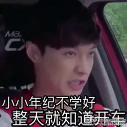 如何评价张艺兴
