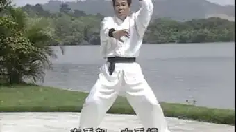 虎鹤双形
