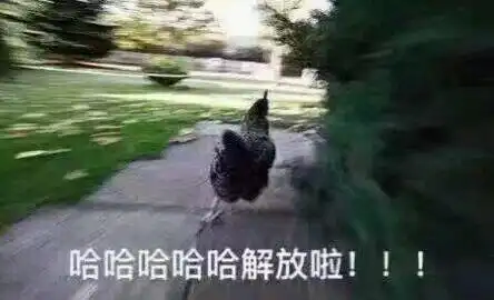 下班了表情包,下班啦表情包,下班咯表情包
