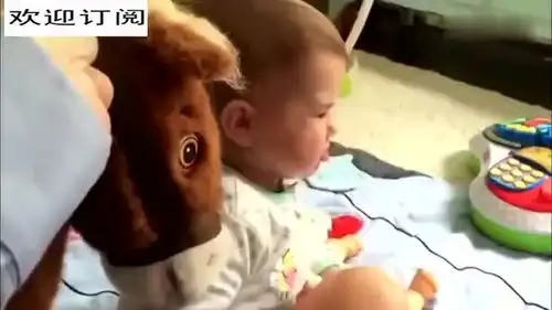 宝宝看到奇葩唱歌玩具的搞笑反应
