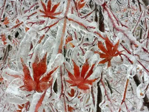 没见过的珍贵照片,原来我们的世界美得惊人
