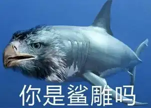 绝了罗永浩鲨鱼皮导尿管,这次一定支持
