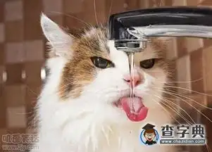 渴了喝点水搞笑图片
