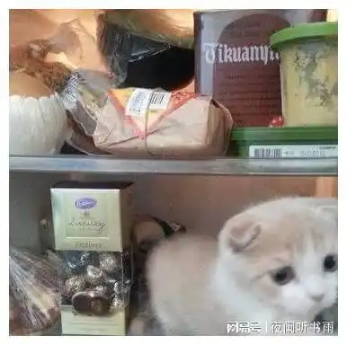 搞笑图片幽默段子笑话哥们,你这样把妹子摁墙上不好吧
