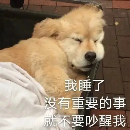 你看我还有机会吗这个沙雕可爱搞笑的文案可还行

